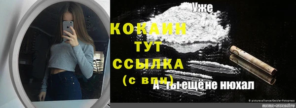 кокс Михайлов