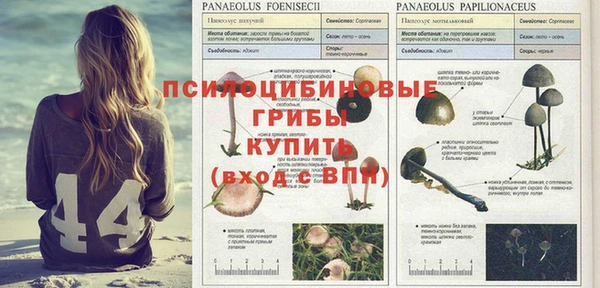 кокс Михайлов