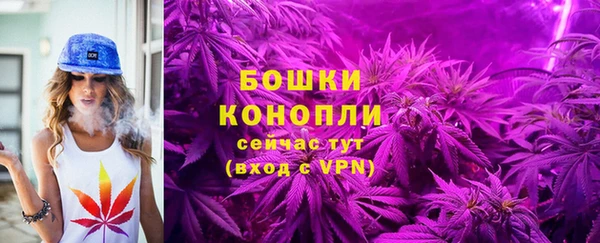 кокс Михайлов