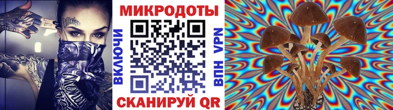 даркнет сайт  Дрезна  Псилоцибиновые грибы прущие грибы 